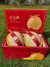 田果匠【順豐】海南甜玫瓏網(wǎng)紋蜜瓜禮盒新鮮水果冰淇淋哈密瓜當季網(wǎng)紋瓜 5斤禮盒（2個(gè)裝） 曬單實(shí)拍圖