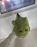 桑菽暖手寶抱枕恐龍公仔創(chuàng  )意毛絨玩具插手可愛(ài)娃娃玩偶生日兒童女手捂 綠色-可插手 約50厘米 曬單實(shí)拍圖
