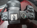 Canon佳能RP R R6 R5 R8 R62二代數碼高清攝像旅游二手微單反相機 【99新】佳能RP 【佳能RF50F1.8】人像/街拍/旅行 曬單實(shí)拍圖