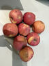 迭果陜北特產(chǎn)米脂蘋(píng)果山地紅富士蘋(píng)果脆甜多汁水果黃土高原 9斤帶箱一級果75-80mm 米脂蘋(píng)果 曬單實(shí)拍圖