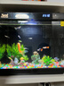二月花魚(yú)缸造景套餐一整套裝飾品擺件仿真水草全套景觀(guān)假山小缸造型內飾 25-F08套餐 適合長(cháng)25/30cm的魚(yú)缸 不包含魚(yú)缸 曬單實(shí)拍圖