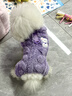 MIKI PAD狗狗衣服四腳絨衣秋冬季加厚保暖泰迪比熊雪納瑞小型犬寵物可牽引 紫色 M背長(cháng)25cm（按照背長(cháng)購買(mǎi)/參考體重4-6斤） 曬單實(shí)拍圖