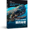 【正版微瑕】 PNSO海洋博物館.鯨的秘密 探索鯨魚(yú)演化的秘密 海洋世界 少兒科普 紙上iMax體驗 果麥出品 曬單實(shí)拍圖