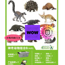 COLLECT英國CollectA我你他仿真動(dòng)物模型玩具野生史前恐龍昆蟲(chóng)海洋套裝 神奇動(dòng)物B(11只)送收納箱畫(huà)冊 曬單實(shí)拍圖