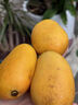橙尚宮海南小臺農芒果新鮮小臺芒當季特產(chǎn)熱帶水果現摘雞蛋芒果整箱 凈重5斤【單果60-100g】實(shí)惠中果 曬單實(shí)拍圖