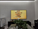 創(chuàng  )維品質(zhì)款 創(chuàng  )維電視 A7F Pro 85英寸 壁紙電視 Mini-LED 啞光屏顯 無(wú)縫貼墻 無(wú)閃屏護眼認證 曬單實(shí)拍圖