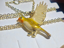 Fable【沈月同款】展翅知更鳥(niǎo)琺瑯彩項鏈女輕奢百搭元旦生日禮物送女友 展翅知更鳥(niǎo)琺瑯彩項鏈 1 曬單實(shí)拍圖