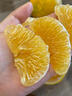桃西村湖南懷化陽(yáng)光一號桔柚【新品種】甜橘柚桔子甜心柚子新鮮送禮水果 5斤 精品中果【單果70mm+】普箱 曬單實(shí)拍圖