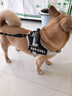 GERTHRON德國拉布拉多胸背帶大型犬狗繩金毛背心式防爆沖杜賓狗鏈子狗狗牽 藏青色-背帶【新升級防爆沖  加強掌控 安全出行】 XS-（8-14斤） 曬單實(shí)拍圖