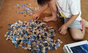 御貢坊椴木拼圖1000片定制成人減壓diy創(chuàng)意女生日禮物兒童玩具國潮裝飾 比翼雙飛1000片木質(zhì)拼圖 曬單實拍圖