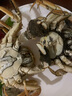 [鮮活凈重]大閘蟹殘蟹螃蟹公母特大滿(mǎn)黃滿(mǎn)膏鮮活到家性?xún)r(jià)比超高 4兩左右公配3兩左右母3斤約12只 曬單實(shí)拍圖