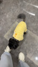 MIKI PAD狗狗衣服四腳絨衣秋冬季加厚保暖泰迪比熊雪納瑞小型犬寵物可牽引 黃色 2XL背長(cháng)40m（按照背長(cháng)購買(mǎi)/參考體重12-18斤） 曬單實(shí)拍圖