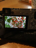 索尼SONY A6000 A6400 A6300 A6100 A6600 二手微單4K視頻直播相機 A6000單機（顏色隨機） 99成新 曬單實(shí)拍圖