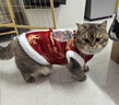 阿莫爾小狗狗衣服中式新年龍袍加厚冬裝小型犬博美泰迪寵物貓咪盤(pán)扣唐裝 【富貴紅】刺繡盤(pán)扣龍袍 M 曬單實(shí)拍圖