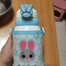 迪士尼（Disney）兒童保溫杯550ml男女上學(xué)專(zhuān)用幼兒園316吸管杯子帶杯套10652-4 曬單實(shí)拍圖
