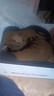 駱駝（CAMEL）戶(hù)外登山鞋牛皮防滑耐磨高幫徒步鞋男防水專(zhuān)業(yè)徒步鞋女靴爬山運動(dòng) FB12234413，深卡其，男 43 曬單實(shí)拍圖