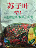 韓食府 延吉韓式泡菜蘇子葉拌菜朝鮮族咸菜250g*2袋 源頭直發(fā) 曬單實(shí)拍圖