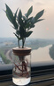 紫訊汽車(chē)中控臺車(chē)載真綠植輕奢高端養活水培好養車(chē)內凈化空氣裝飾擺件 竹柏 曬單實(shí)拍圖