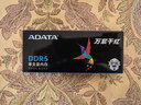 威剛（ADATA）16GB DDR5 5600 筆記本內存 萬(wàn)紫千紅 曬單實(shí)拍圖