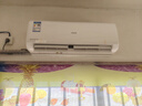 長(cháng)虹空調大1.5匹掛機【補貼20%】新1級能效巨省電自清潔家用臥室掛機空調熊貓懶冷暖空調電 以舊換新 熊貓懶Pro 曬單實(shí)拍圖