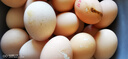 泰和烏雞蛋無(wú)腥無(wú)抗新鮮現撿烏雞蛋鮮雞蛋生鮮溏心蛋早餐超市農家 30枚 曬單實(shí)拍圖