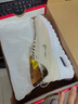 耐克NIKE休閑鞋女子氣墊AIR MAX NUAXIS運動(dòng)鞋HF1233-105淺黃38 曬單實(shí)拍圖