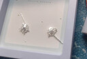 BJYLS999足銀雪花流蘇耳線(xiàn)養耳洞純銀耳環(huán)耳釘女輕奢高級小眾耳飾禮物 【999足銀】雪花耳線(xiàn)一對 曬單實(shí)拍圖