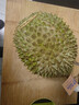市舶士馬來(lái)西亞D197貓山王榴蓮樹(shù)熟新鮮榴蓮包郵【鮮果預售5天內發(fā)貨】 【鮮果保5房 出肉率更高】AA級3.6-4.0斤 曬單實(shí)拍圖