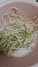 新鮮魚(yú)腥草折耳根農家自種現挖豬鼻孔節兒根土特產(chǎn)蔬菜拌香菜即食 1斤 新鮮現挖 曬單實(shí)拍圖