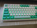 HELLO GANSSGS3108TPro客制化高斯機械鍵盤(pán) 有線(xiàn)藍牙三模連接 Gasket結構 108鍵盤(pán) 辦公 GS3108TPRO 天河翠 KTT靜音紅軸（辦公首選） 曬單實(shí)拍圖