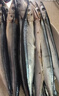 七冰東秋刀魚(yú) 深海魚(yú)燒烤食材新鮮秋刀魚(yú)超大規格冷凍海鮮水產(chǎn)生鮮 魚(yú)類(lèi) 秋刀魚(yú)10斤裝 2號秋刀 曬單實(shí)拍圖