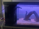 德克（D&A）桌面魚(yú)缸【造景套裝】2026新款溪流缸全套一體缸自循環(huán) 側過(guò)濾 北溪2號/120黑色【燈光+1號造景】 曬單實(shí)拍圖