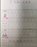 金枝葉一年級同步練字帖上下冊2026新版語(yǔ)文同步小學(xué)生字帖練字專(zhuān)用每日一練筆畫(huà)筆順描紅練字本兒童字帖 曬單實(shí)拍圖