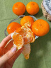 正宗浙江臺州臨海涌泉蜜桔黃巖薄皮當季新鮮橘子禮盒裝順豐 甄選老樹(shù)8A特級果 【順豐彩箱裝】 5斤 曬單實(shí)拍圖
