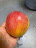 絲路甜心新疆阿克蘇蘋(píng)果正宗冰糖心紅富士當季新鮮蘋(píng)果核心產(chǎn)地紅旗坡直發(fā) 阿克蘇蘋(píng)果凈重5斤 單果70-80mm（約15枚 精品中果） 阿克蘇蘋(píng)果 曬單實(shí)拍圖