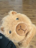 封茗 兒童耳罩卡皮巴拉冬季保暖耳罩可愛(ài)卡通防凍男女防寒耳包 卡皮巴拉淺卡其【可折疊 建議5-12歲】 曬單實(shí)拍圖