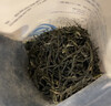 云嶺茶業(yè)永川秀芽特級茶葉綠茶明前重慶特產(chǎn)辦公室自飲口糧茶自己喝的茶 【買(mǎi)4袋更優(yōu)惠】一川復合袋裝 100g*1袋 多買(mǎi)多折扣！ 曬單實(shí)拍圖