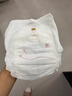 碧芭寶貝大魚(yú)海棠pro拉拉褲XL34片(12-17kg)尿不濕 裸感腰圍 秋冬不悶 曬單實(shí)拍圖