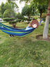 米囹吊床戶(hù)外成人露營(yíng)秋千防側翻單雙人加固寢室宿舍睡覺(jué)吊椅u  260*150彩蘭色+鴨嘴+彎棍+綁帶 曬單實(shí)拍圖