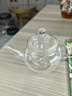全度（Quandu）耐熱玻璃小茶壺花茶壺泡茶壺帶過(guò)濾可明火加熱煮茶壺功夫小茶壺 內膽款250ML 曬單實(shí)拍圖
