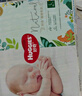 好奇（Huggies）森林密語(yǔ) 尿不濕 紙尿褲  新老包裝隨機發(fā) 紙尿褲M(mǎn)48片 曬單實(shí)拍圖