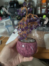 科吉雅天然黃紫粉水晶發(fā)財樹(shù)家居辦公室桌面裝飾品可愛(ài)工藝品招財 紫水晶（189顆樹(shù)枝） 19cm*11厘米 曬單實(shí)拍圖