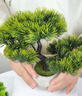 匠心綻放奇松迎客松長(cháng)壽松仿真松樹(shù)盆景綠植客廳盆景辦公茶室擺件20304 曬單實(shí)拍圖