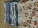 棉奇熊男童內褲兒童棉質(zhì)平角褲男孩四角4條不夾PP中大童底褲-B093 曬單實(shí)拍圖