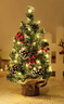 綺蘭朵小型圣誕樹(shù)家用迷你桌面擺件2025新款拍攝道具圣誕節布置上裝飾品 A40-雪花松果樹(shù)-帶燈 曬單實(shí)拍圖