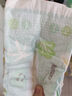 好奇森林密語(yǔ)紙尿褲M(mǎn)48片中號嬰兒尿不濕超薄透氣 曬單實(shí)拍圖