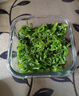 小熊船長 億海裙帶菜絲230g/袋 開袋即食下飯菜海藻壽司海草沙拉海白菜絲 酸甜味230g*3袋 曬單實(shí)拍圖