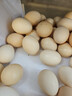 農村散養新鮮正宗土雞蛋現撿一整箱新鮮家養土40枚草雞蛋 40枚 曬單實(shí)拍圖