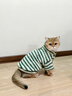 貝初眾貓咪衣服保暖小貓衣服冬季防掉毛幼貓狗狗衣服兩腳布偶貓比熊泰迪 綠白條紋 L 建議7-10斤內 羊羔絨親膚|自帶牽引環(huán) 曬單實(shí)拍圖