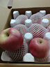 京地達蘋(píng)果山東煙臺蘋(píng)果水果 凈重5斤單果85mm棲霞紅富士源頭直發(fā)包郵 曬單實(shí)拍圖